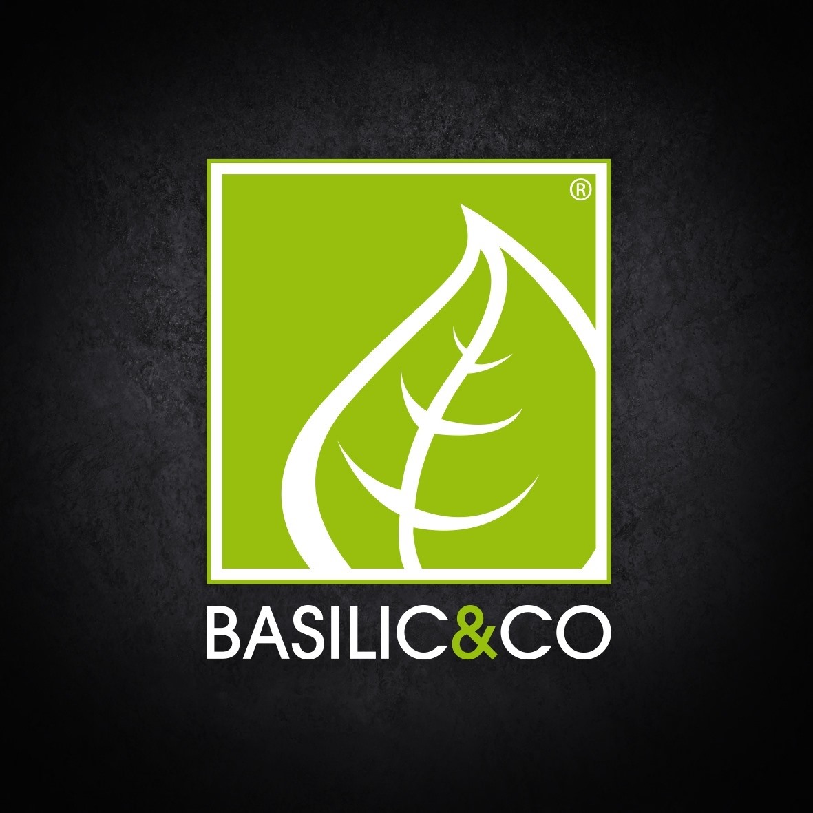 Basilic & Co - client Hecker & Frères Énergie (HFE)